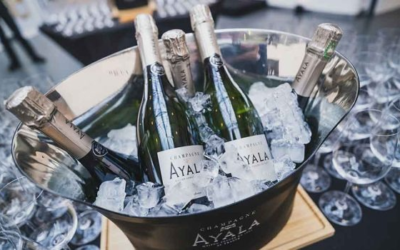 Where to Get Mini Champagne Bottles in Bulk?