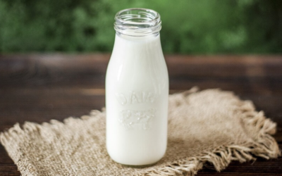 How many times can glass milk bottles be reused?