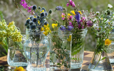 Understand The Various Shapes of Glass Vase With Flowers