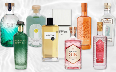 Where to Custom Gin Bottles in Bulk: Complete Sourcing Guide